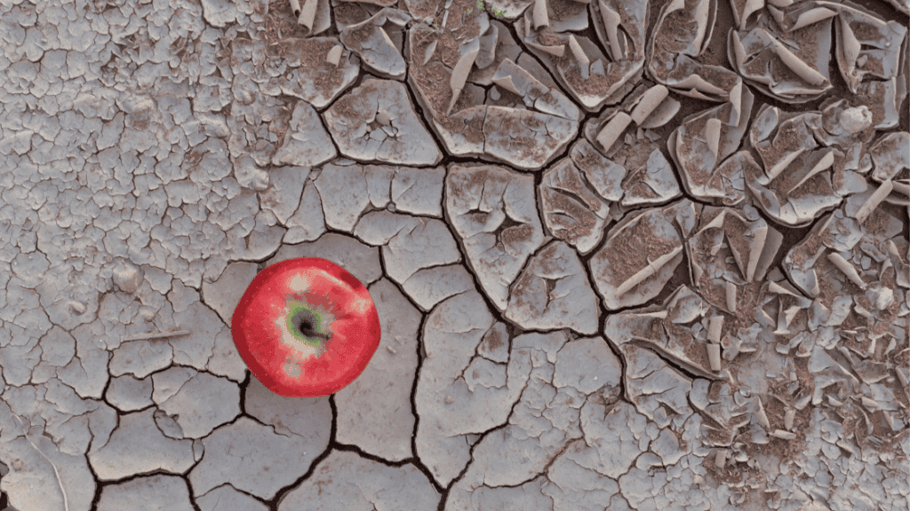 Instituto Ar - Imagem_Notícias_Fome, poluição atmosférica e mudanças climáticas_5